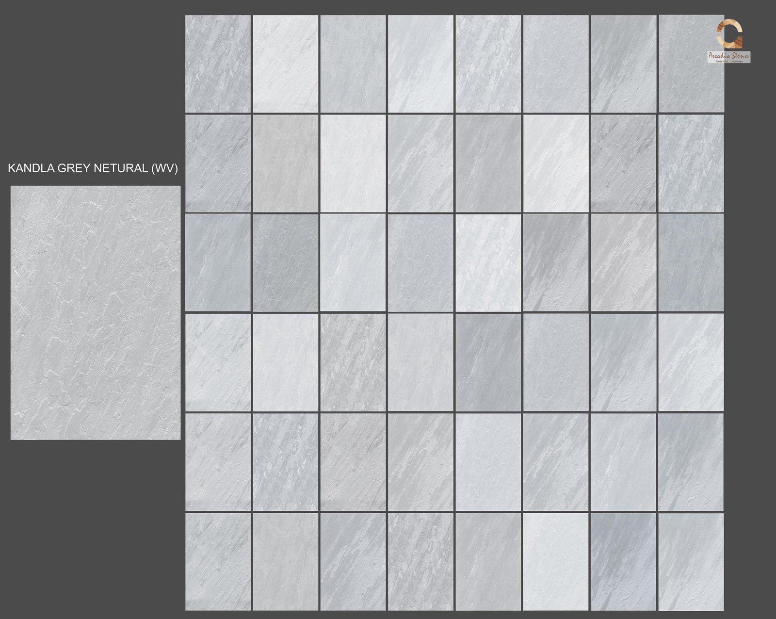 Kandla Grey - Image 4