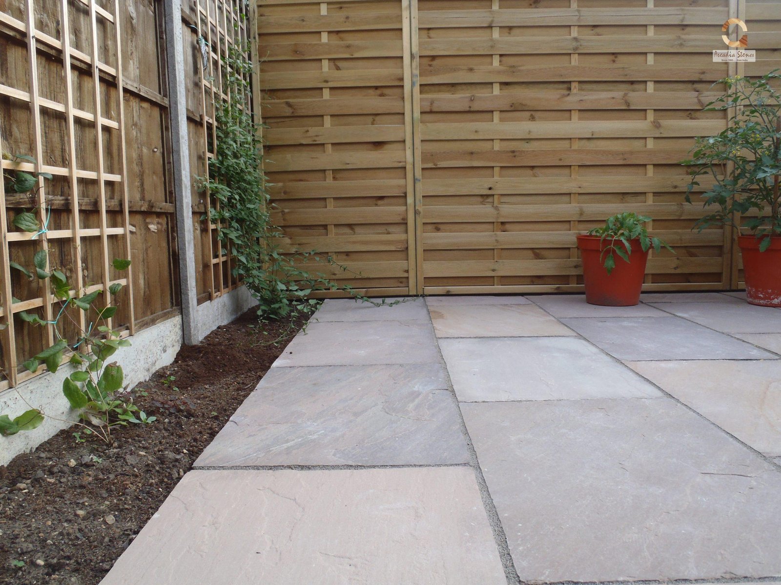 Kandla Grey - Image 4