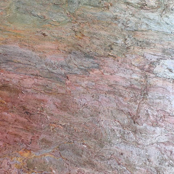 Mint Fossil
